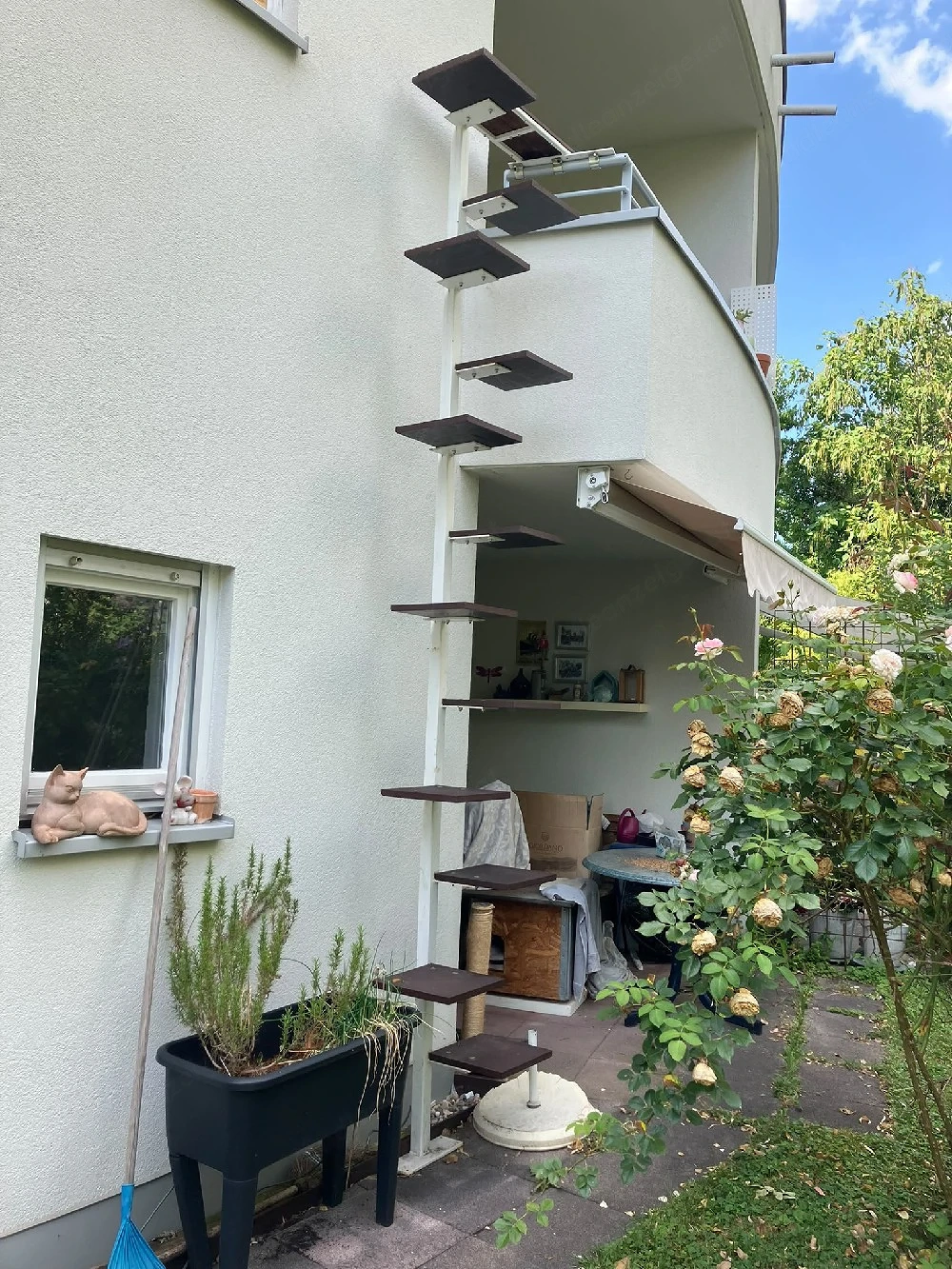 Katzenleiter