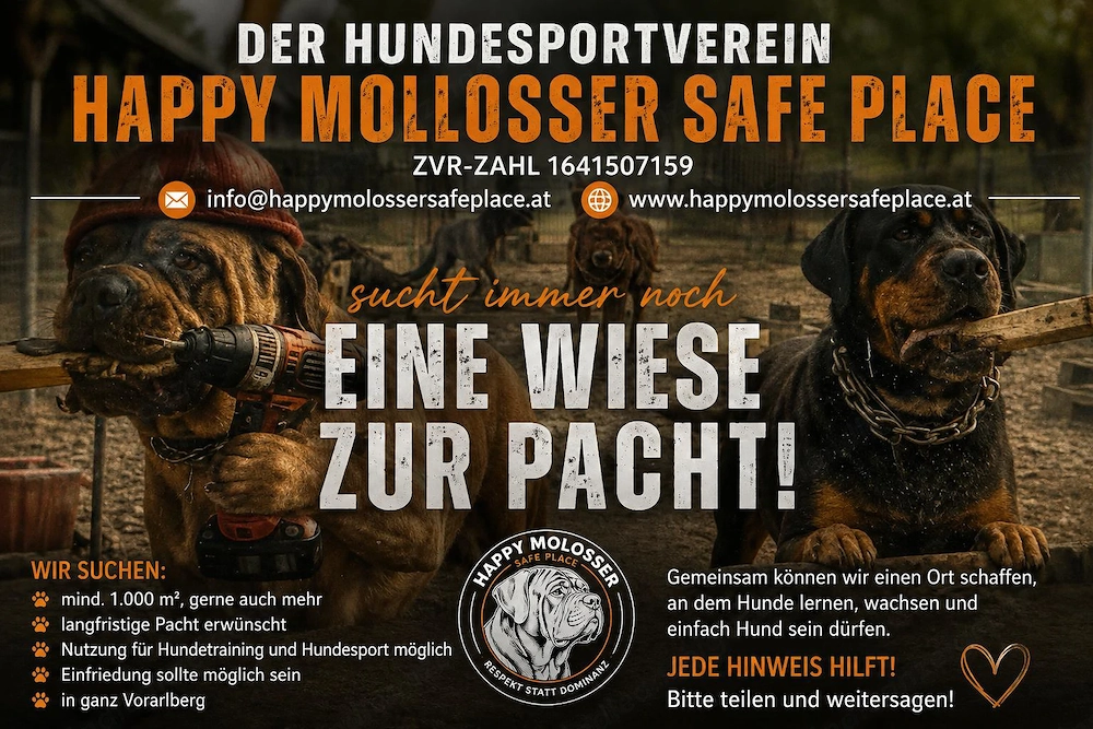  Der Hundesportverein Happy Molosser Safe Place sucht immer noch eine WIESE ZUR PACHT! 