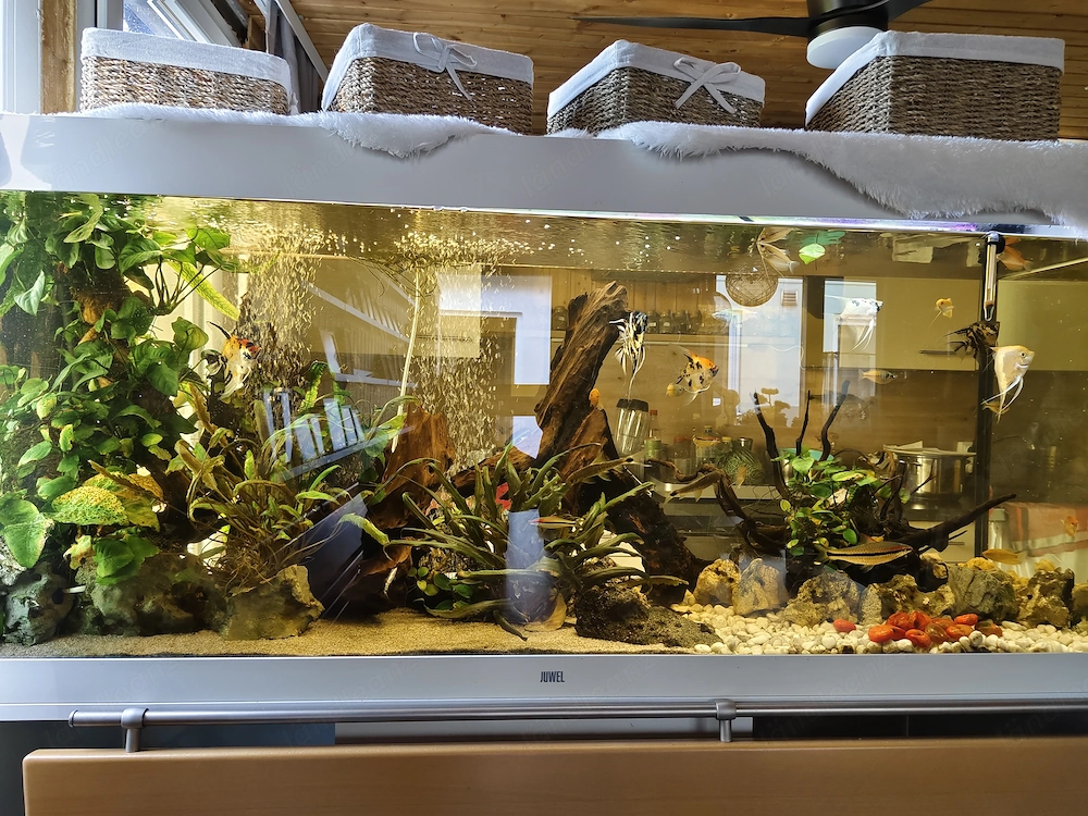 Aquarium zu verkaufen
