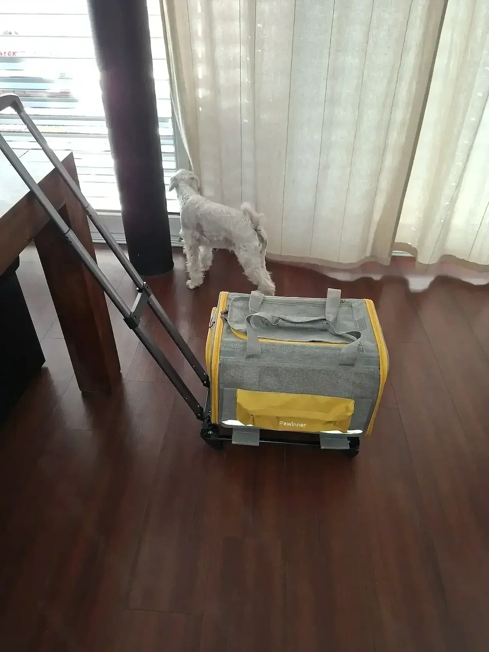 PAWINER Box für kl. Hunde Katzen  inCabin für Flug!