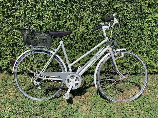 Simplon Trekkinrad