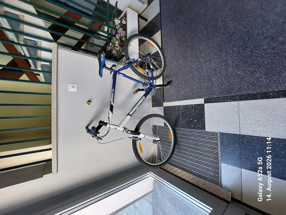 Fahrrad ( Mountainbike)