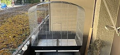 Suche so ein Vogelkäfig