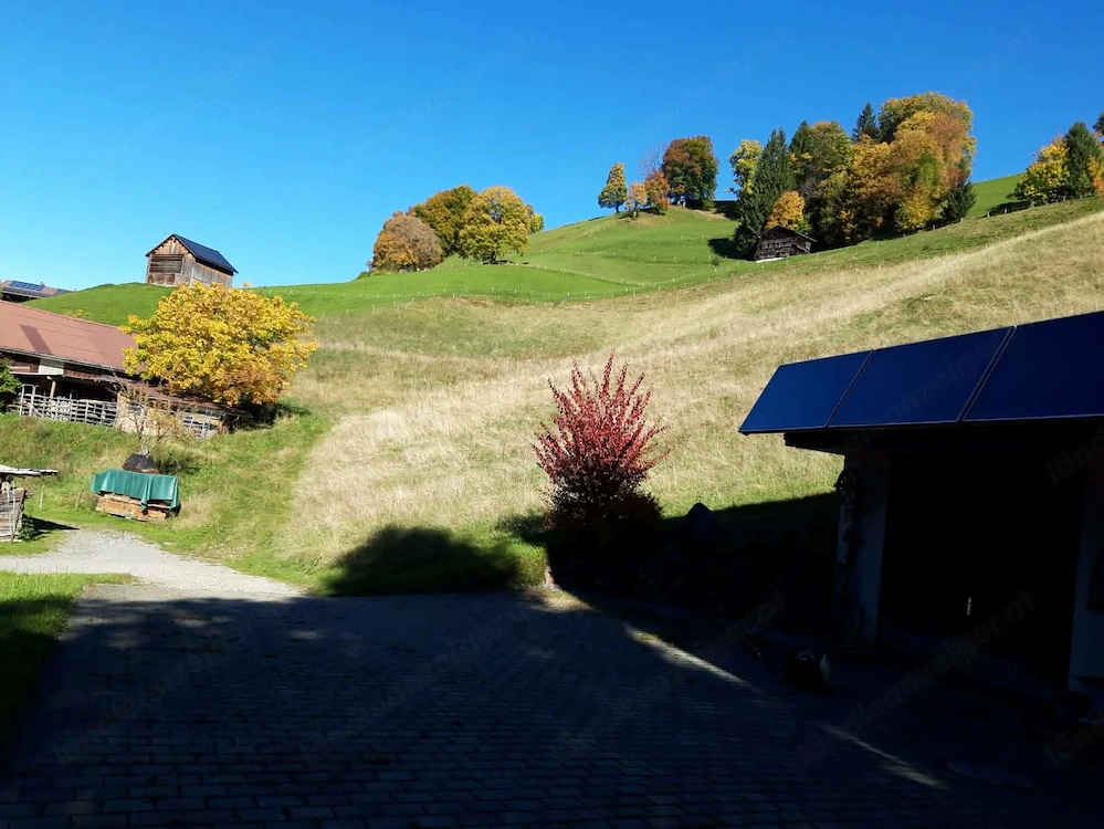 Wer möchte noch 2 Hektar Wiese mähen und kostenloses Heu haben?
