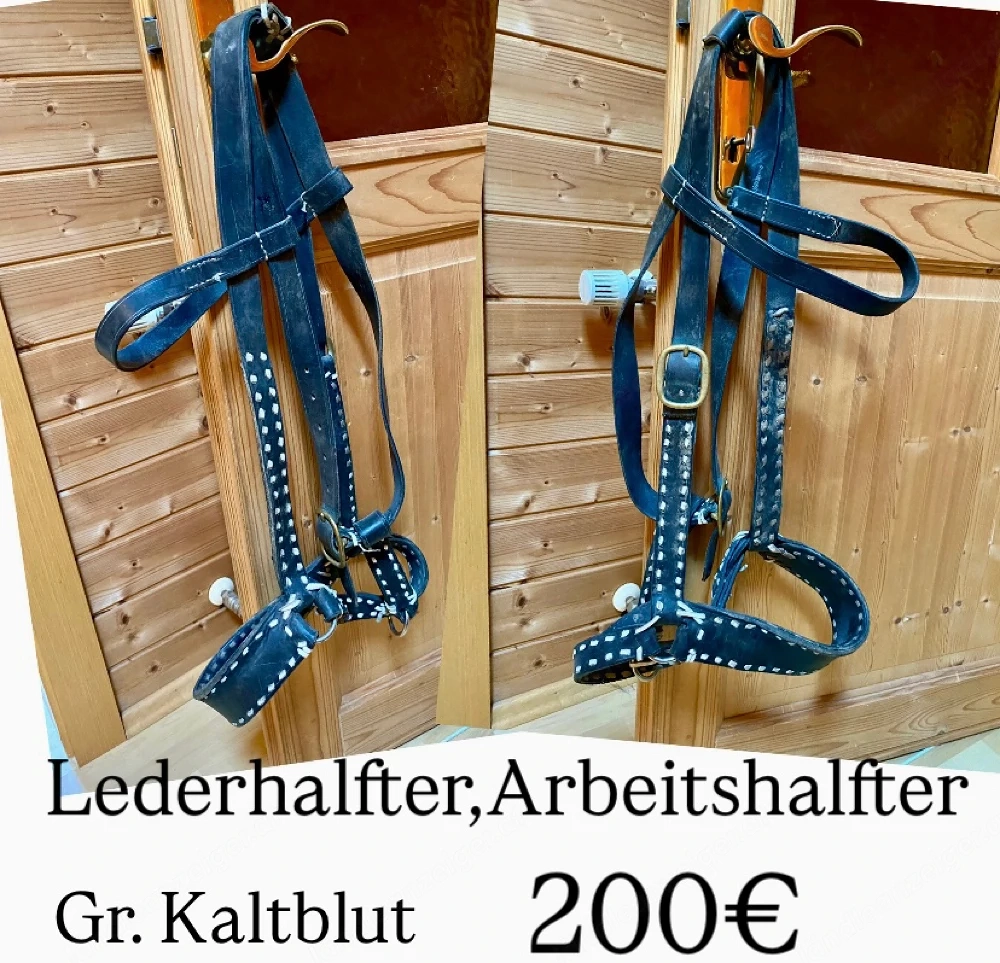 Lederhalfter,Arbeitshalfter