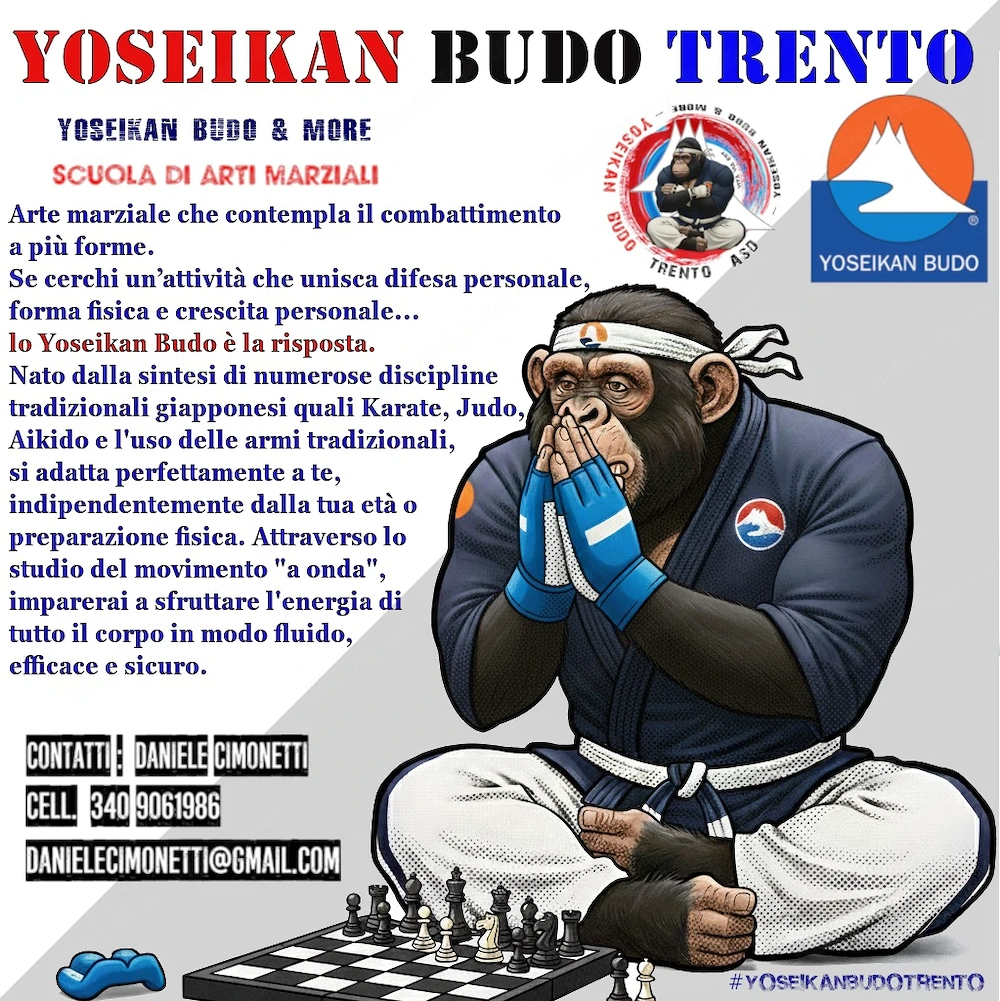 Yoseikan-Budo-Trainer