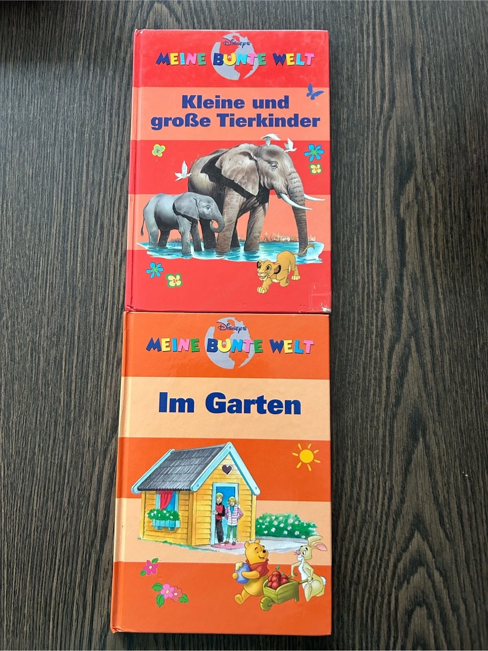 Disneys Meine bunte Welt, 2 Bücher