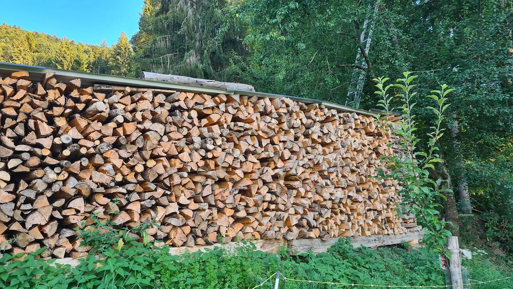 Brennholz Fichte
