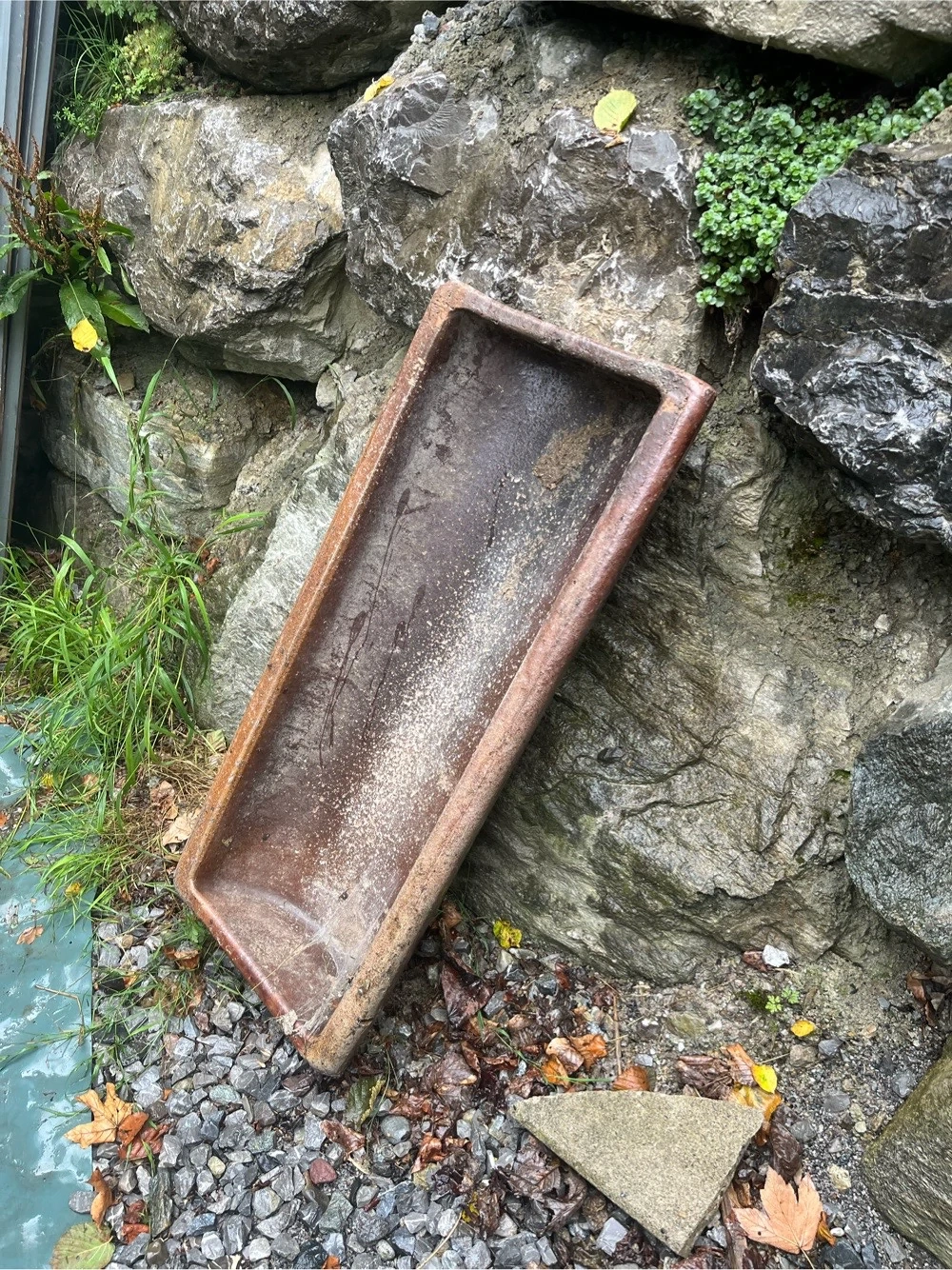 schweine trog futtertrog