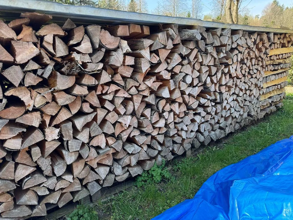 Brennholz Hart oder Weich