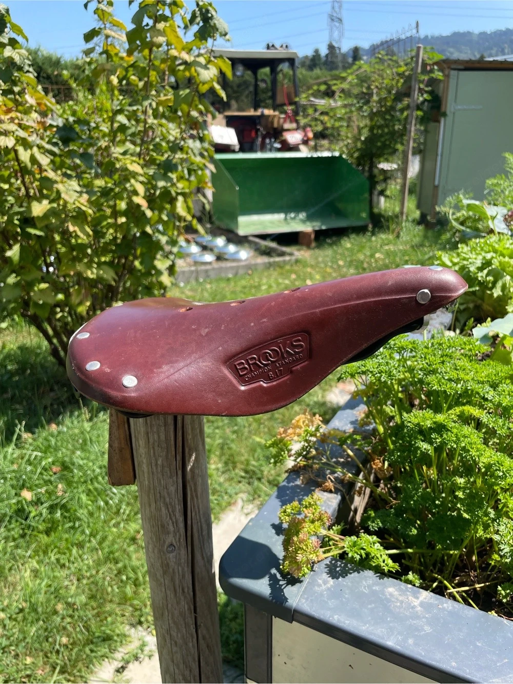 Brooks B17 Sattel neu