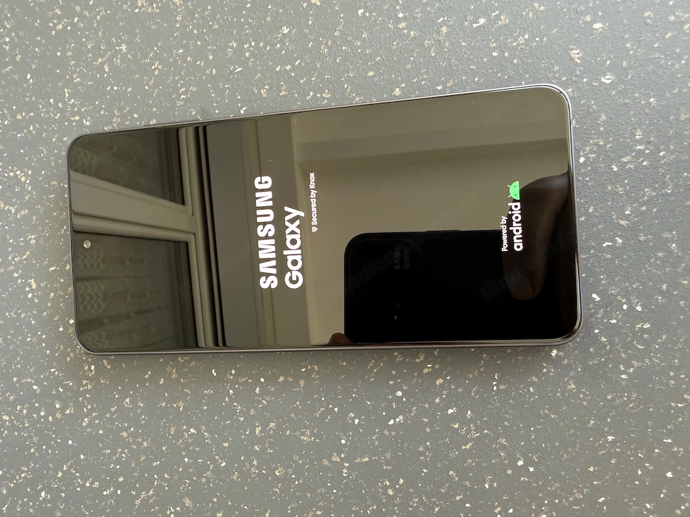 Samsung Galaxy S 21 FE