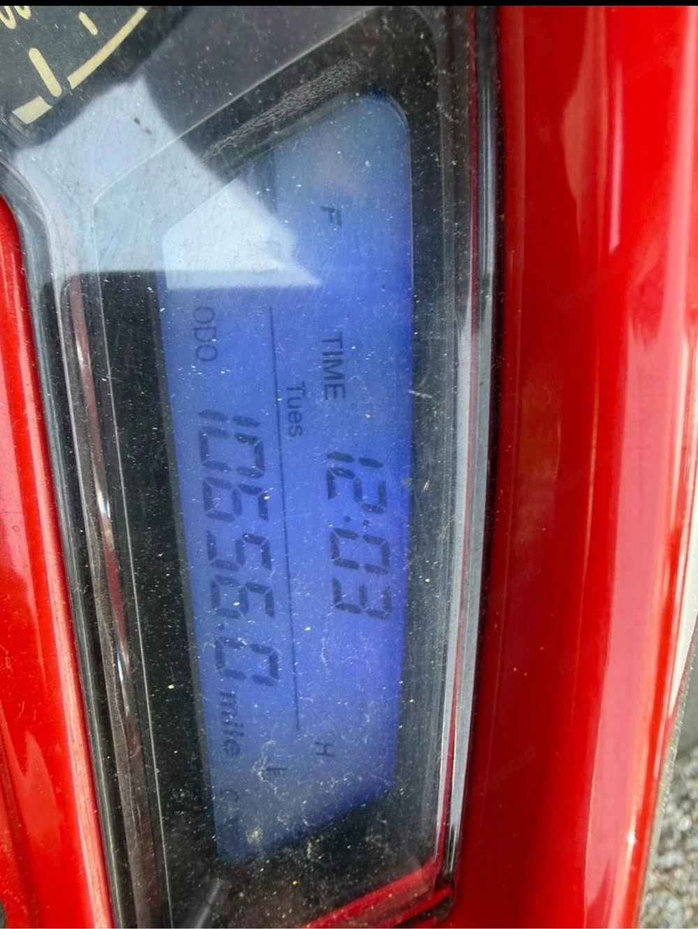 Beeline Pista 50ccm