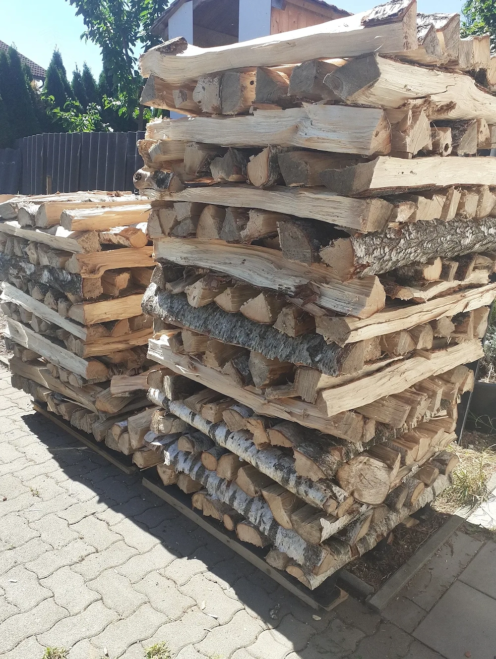 Brennholz Hartholz Birke 