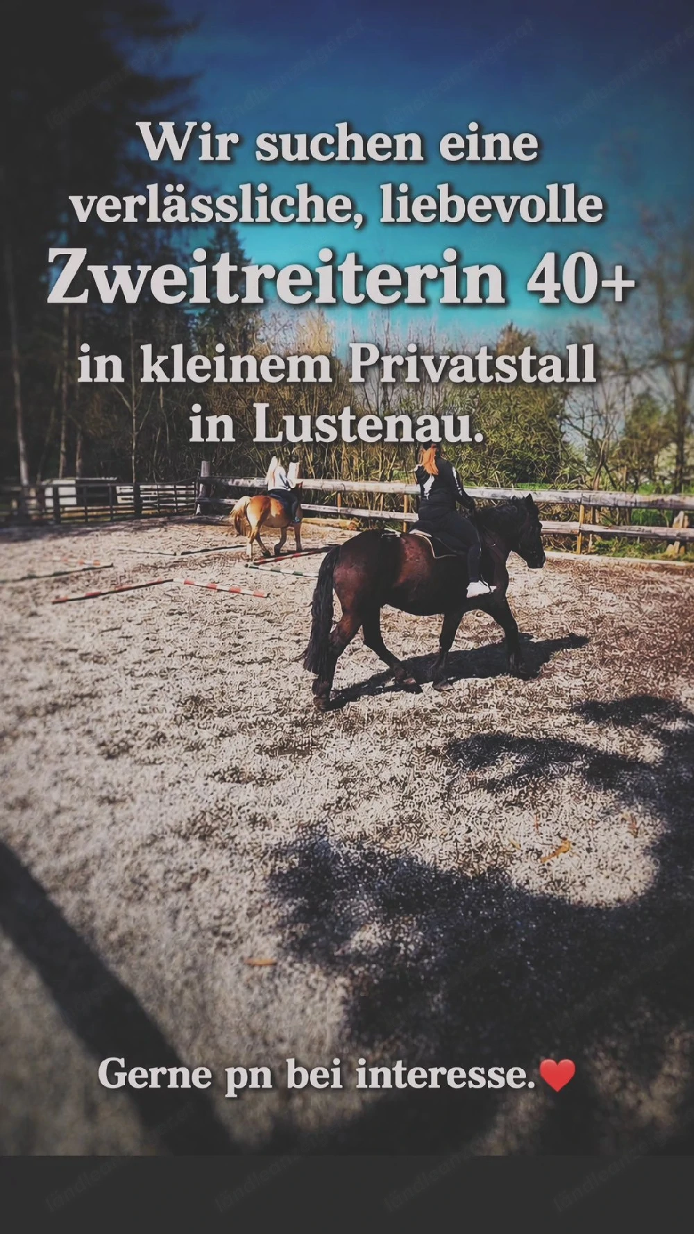 Zweitreiterin mit Herz gesucht  