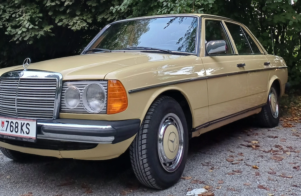 Mercedes 250 W123