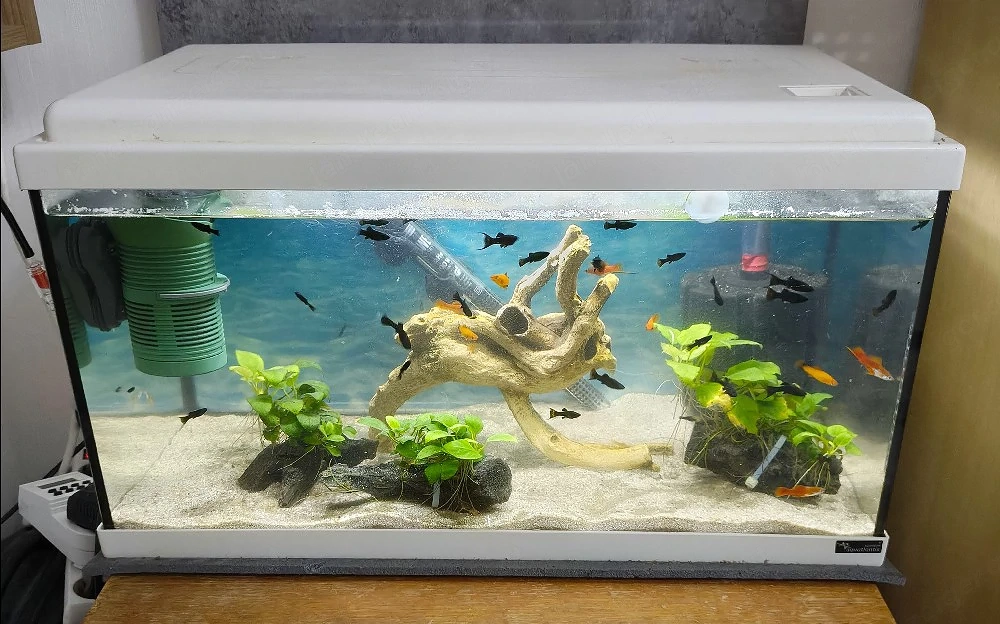  Aquarium 