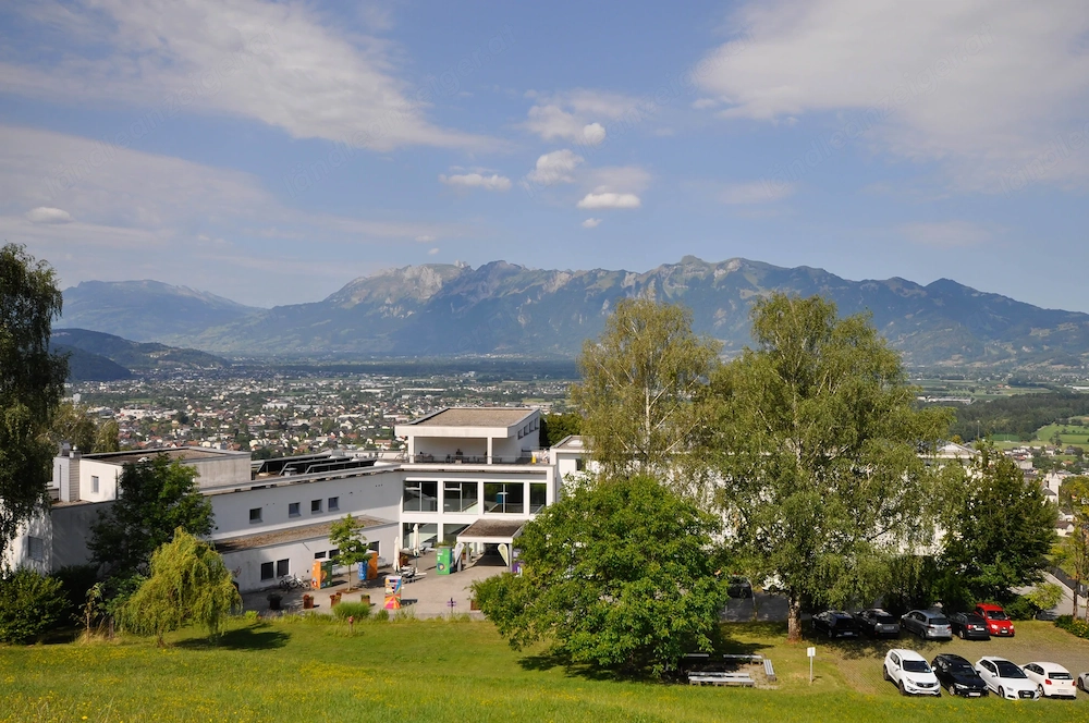 Wohnen in Batschuns mit Blick über das Rheintal