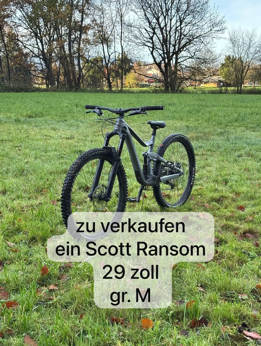 Scott Ramson 930