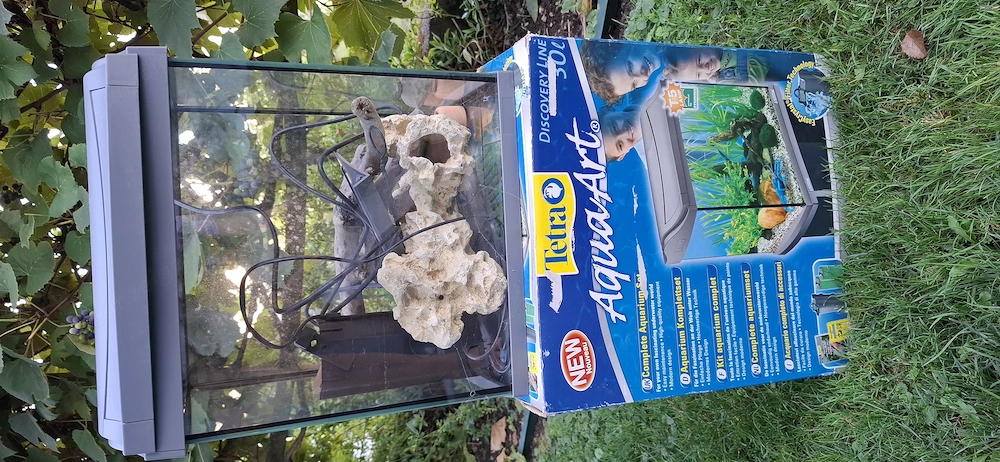 Aquarium AquaArt Tetra 30l 