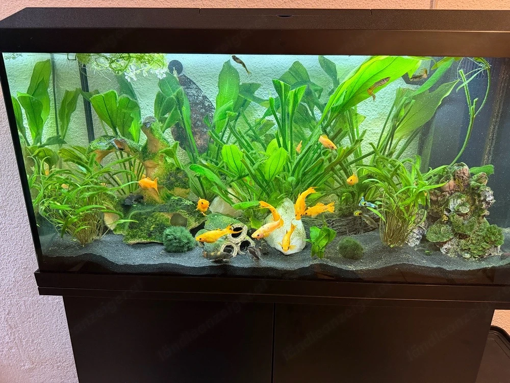 Aquarium 110L