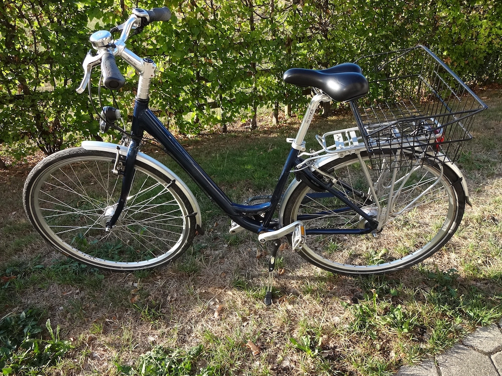 Damenfahrrad Pro Cycle