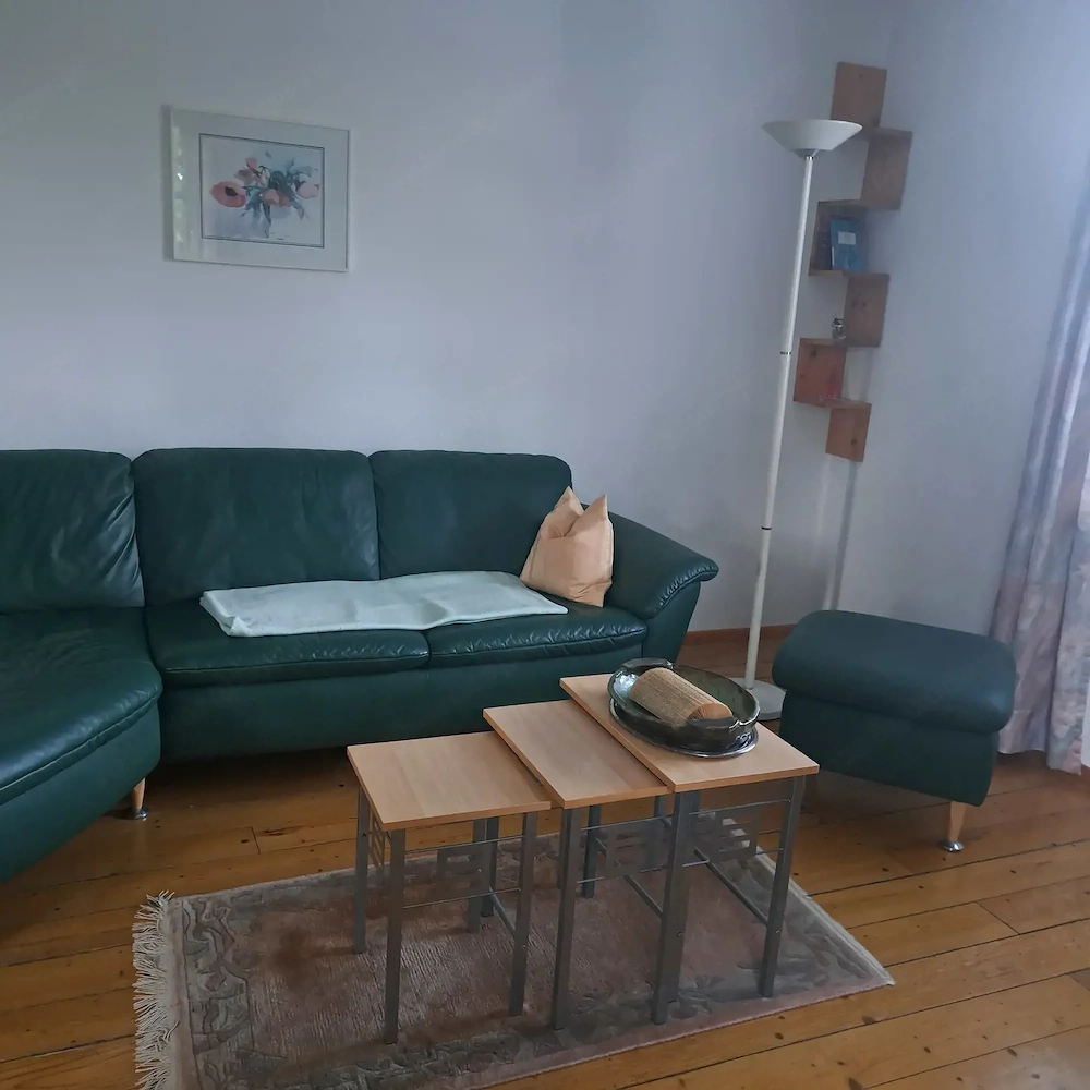 Schönes bequemes Ledersofa