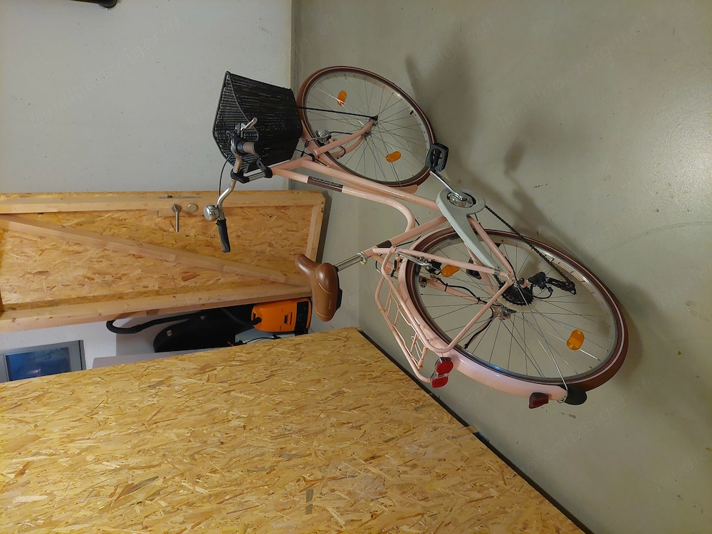 Damen Fahrrad mit Korb