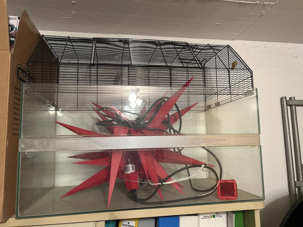 Hamster Käfig (Glas) 