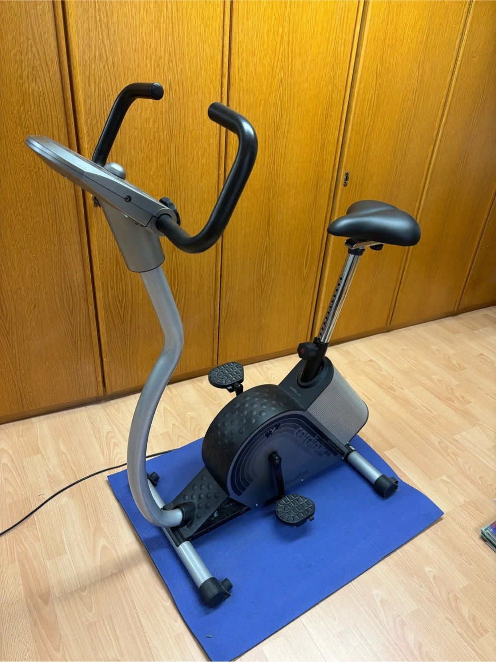 Ergometer Heimtrainer Daum Electronic
