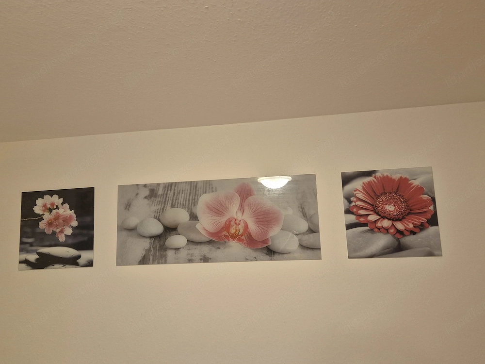 Glasbilder zu verschenken