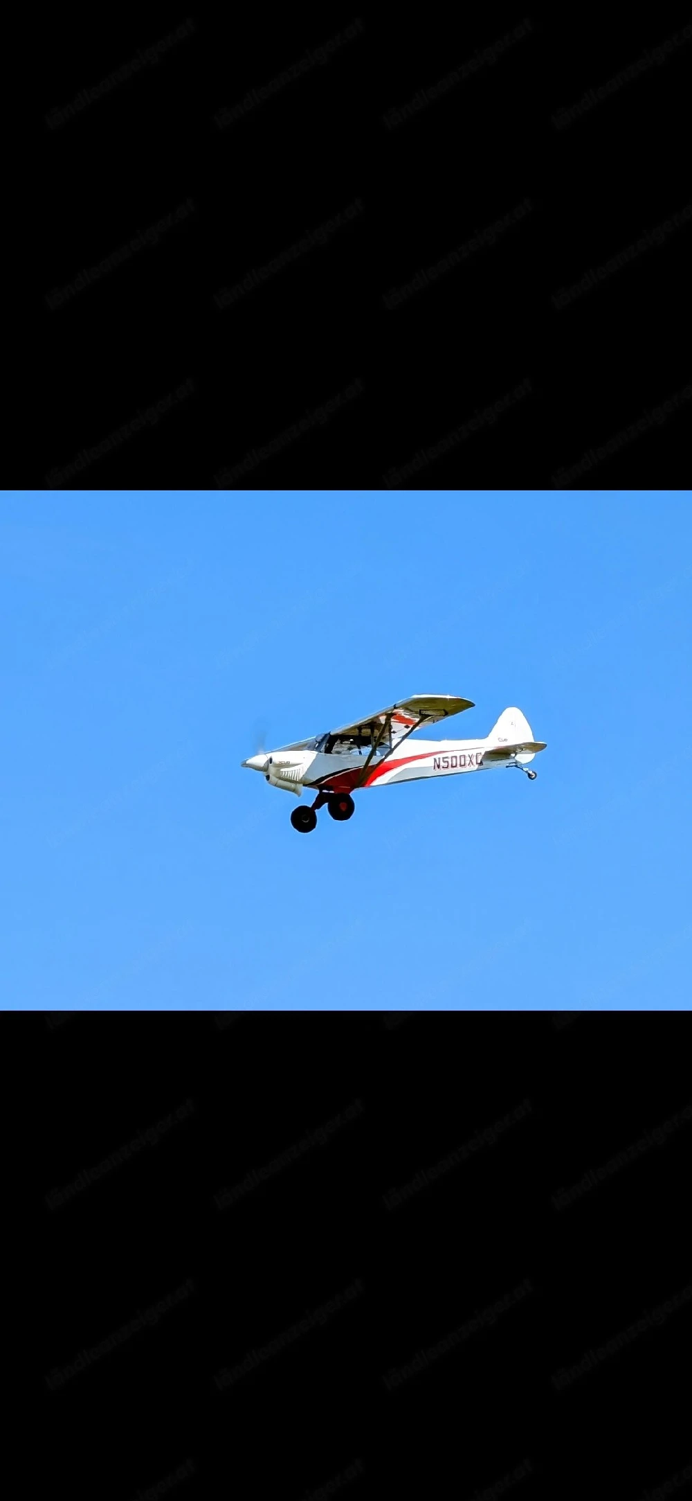 Hangar 9 XCub