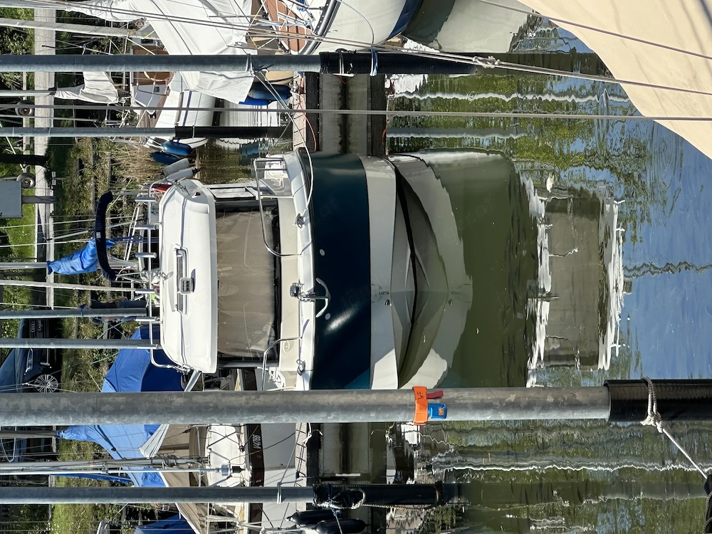 Pilothouse Quicksilver 605 mit Mercruiser CT 100, Trailer und Bodenseezulassung
