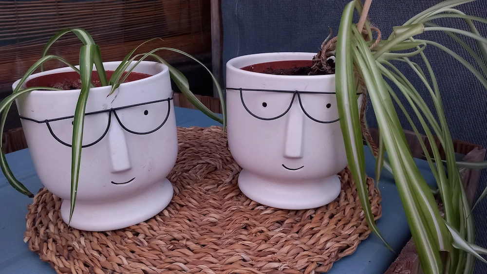 2 Blumentöpfe mit Gesicht und Brille (mit oder ohne Pflanzen)