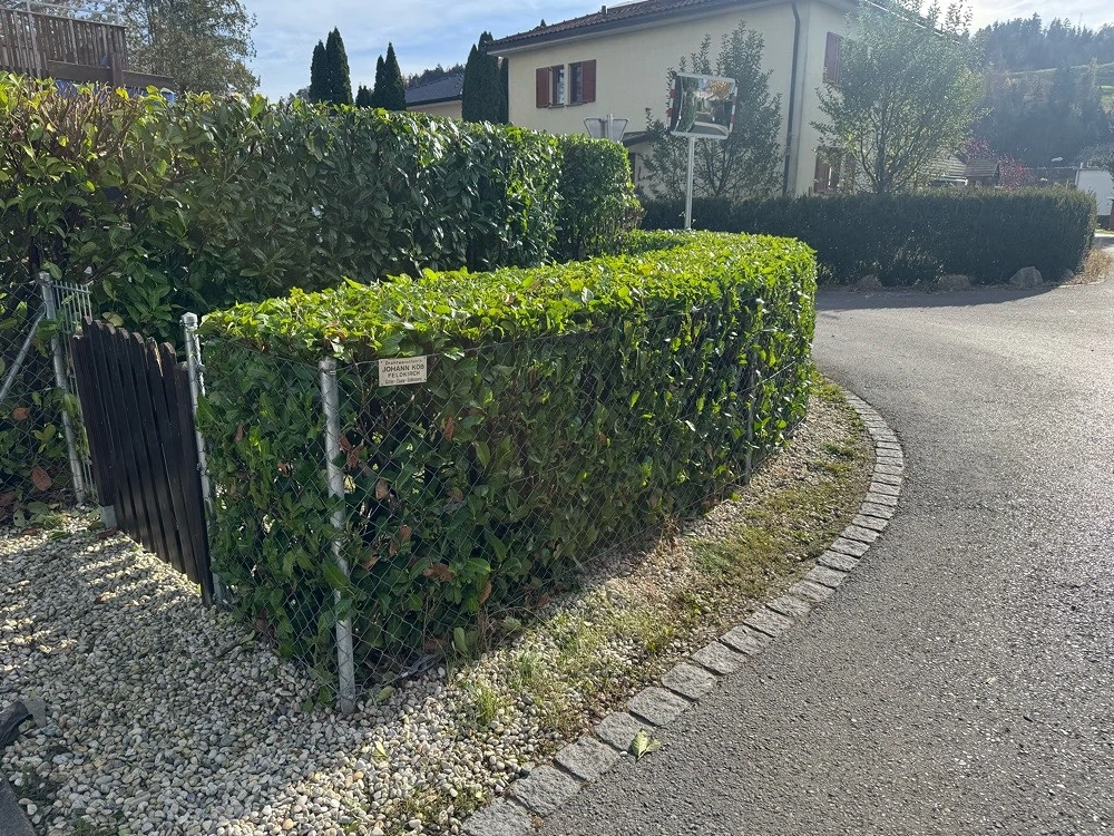 Garten Arbeit Rumdum Haus