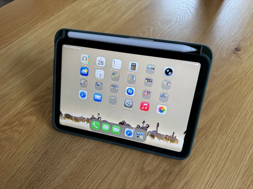 iPad mini 6 mit Apple Pencil 2.G