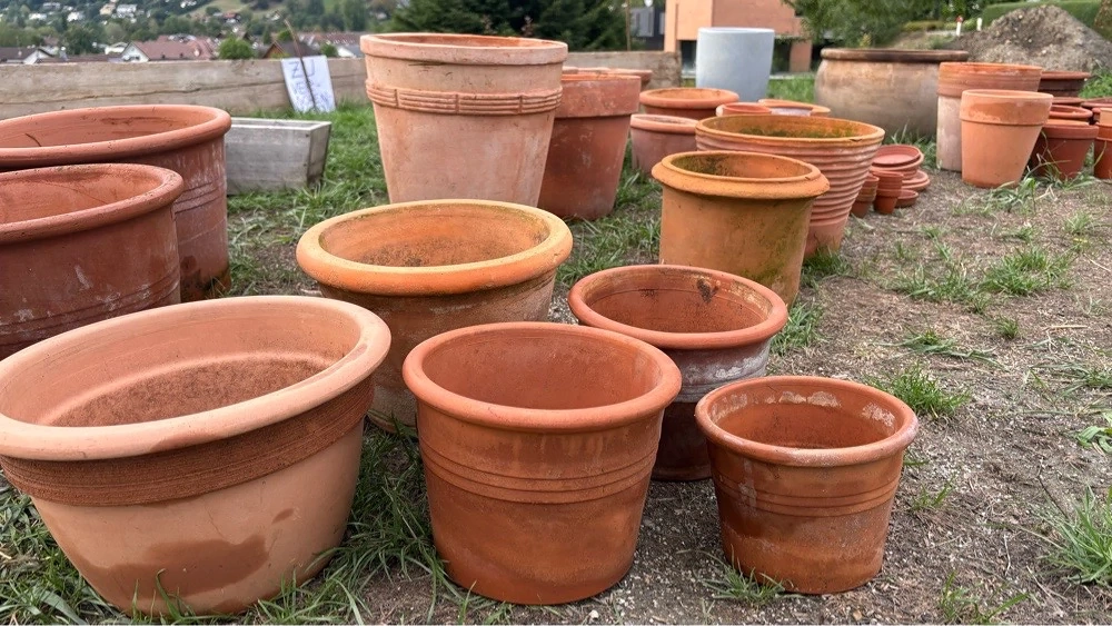 Terracotta Töpfe zu verschenken