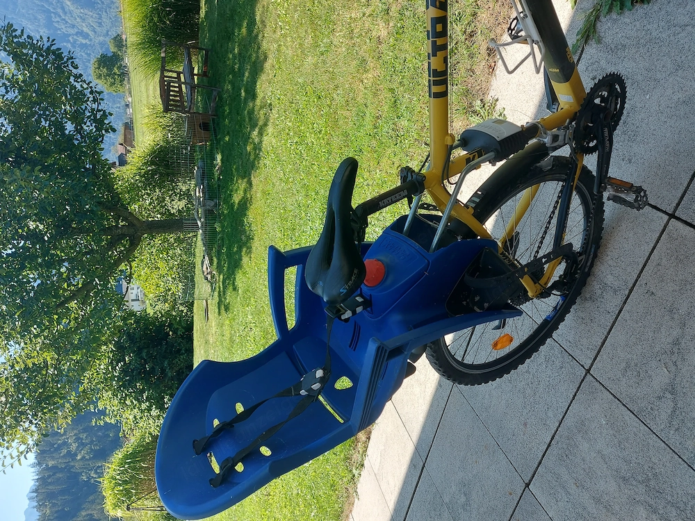Fahrrad Kindersitz mit Halterung komplett 