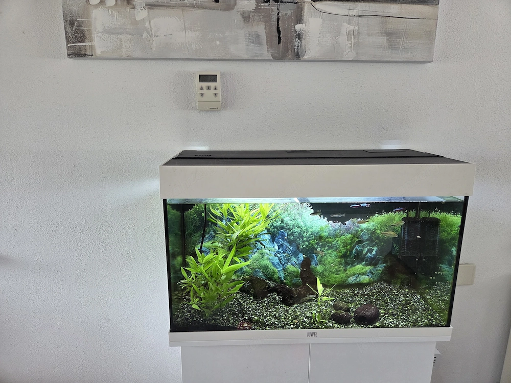 Aquarium Juwel 120 Liter