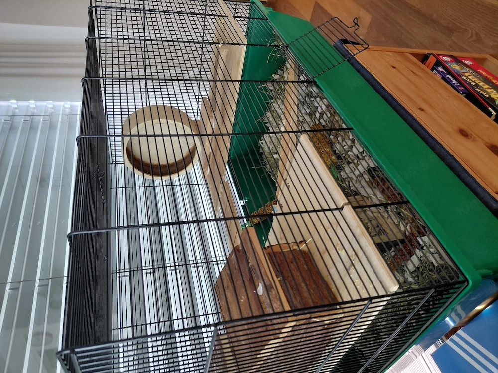 Hamsterkäfig günstig 