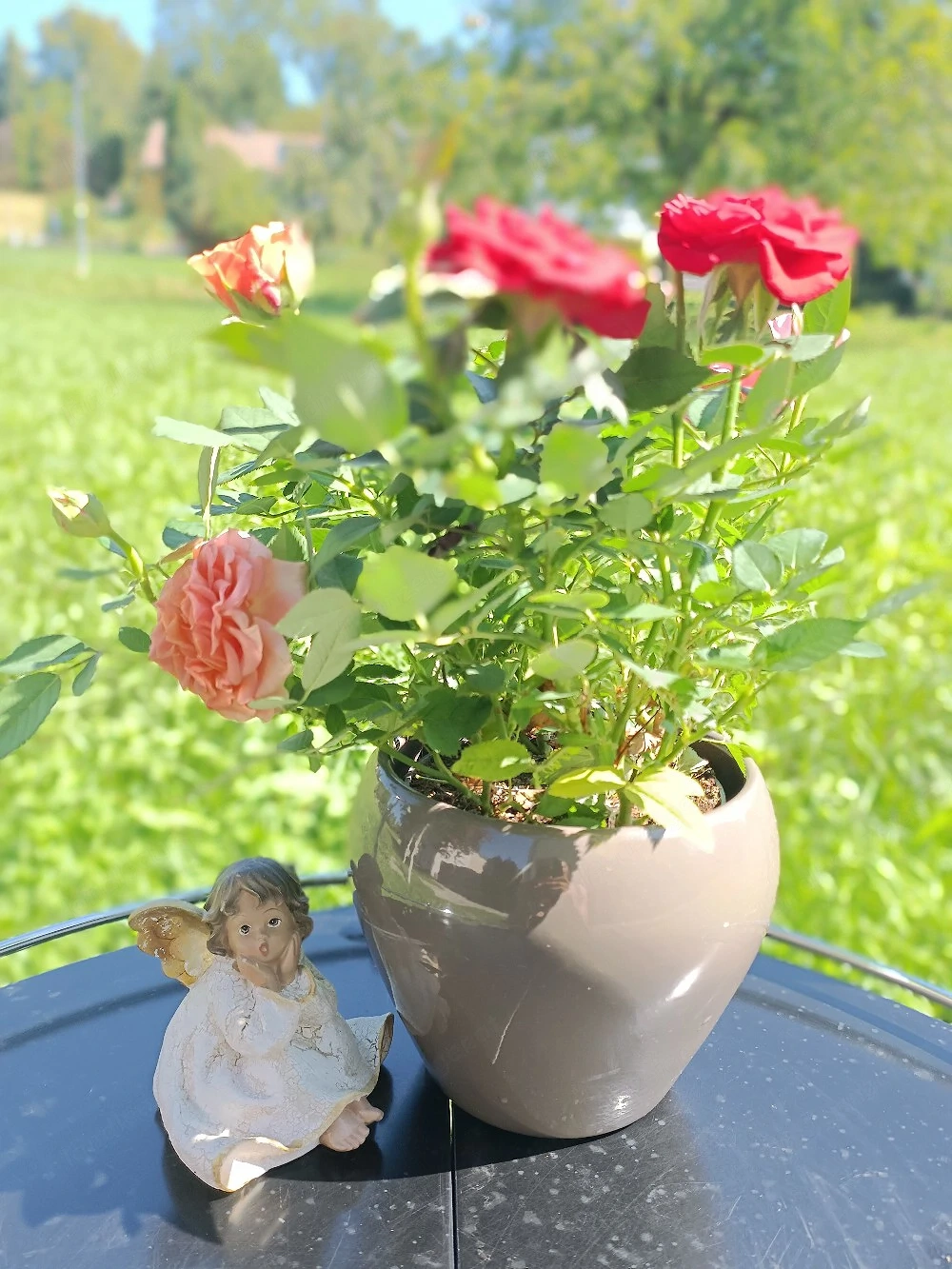 Blume mit Topf und Deko