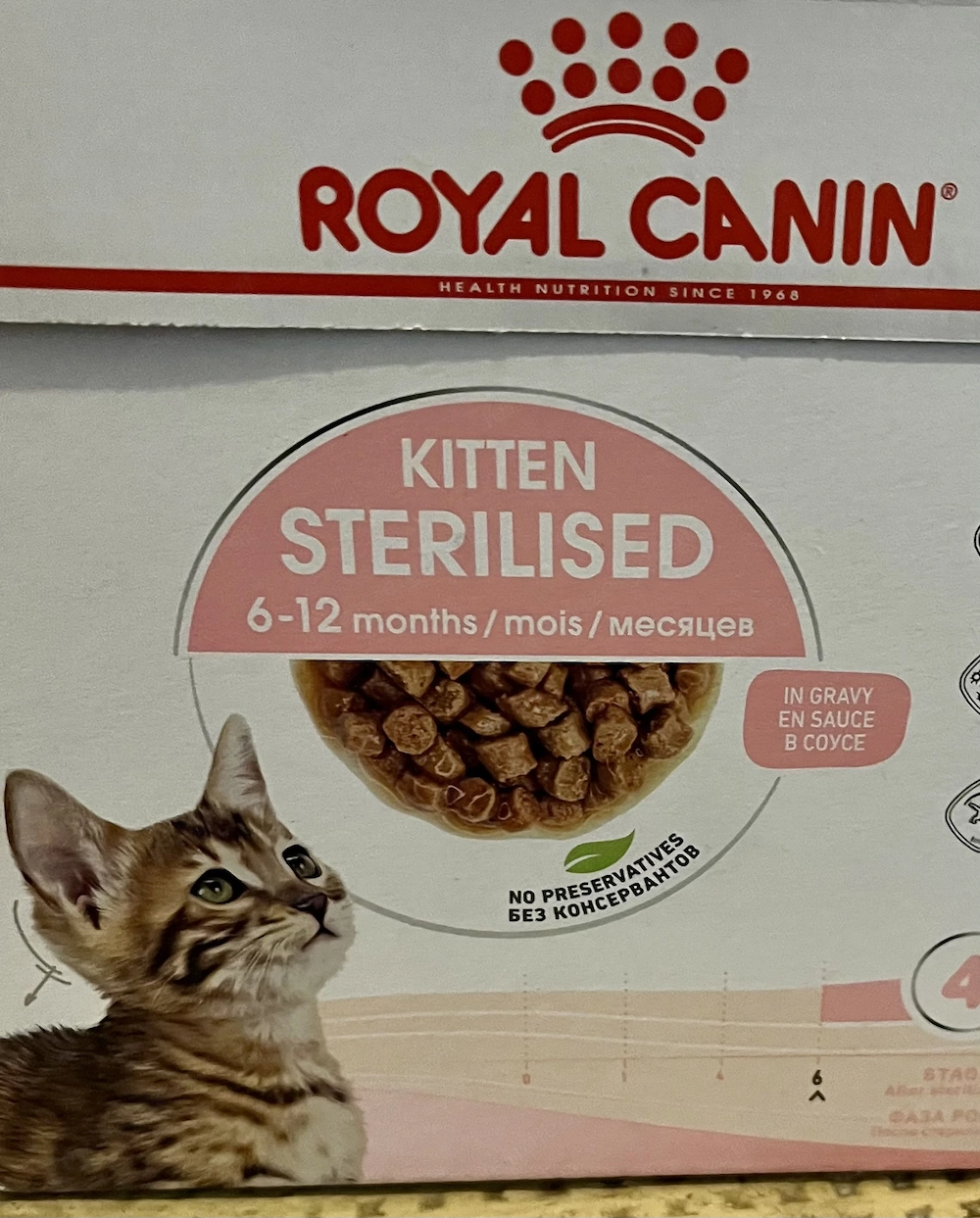 Katzenfutter