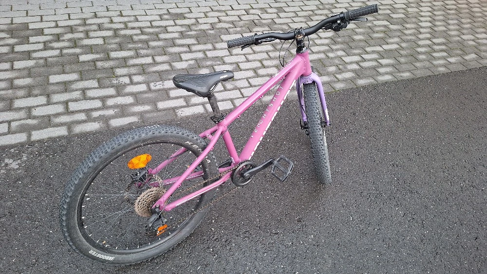 Eightshot COADY 24 Zoll