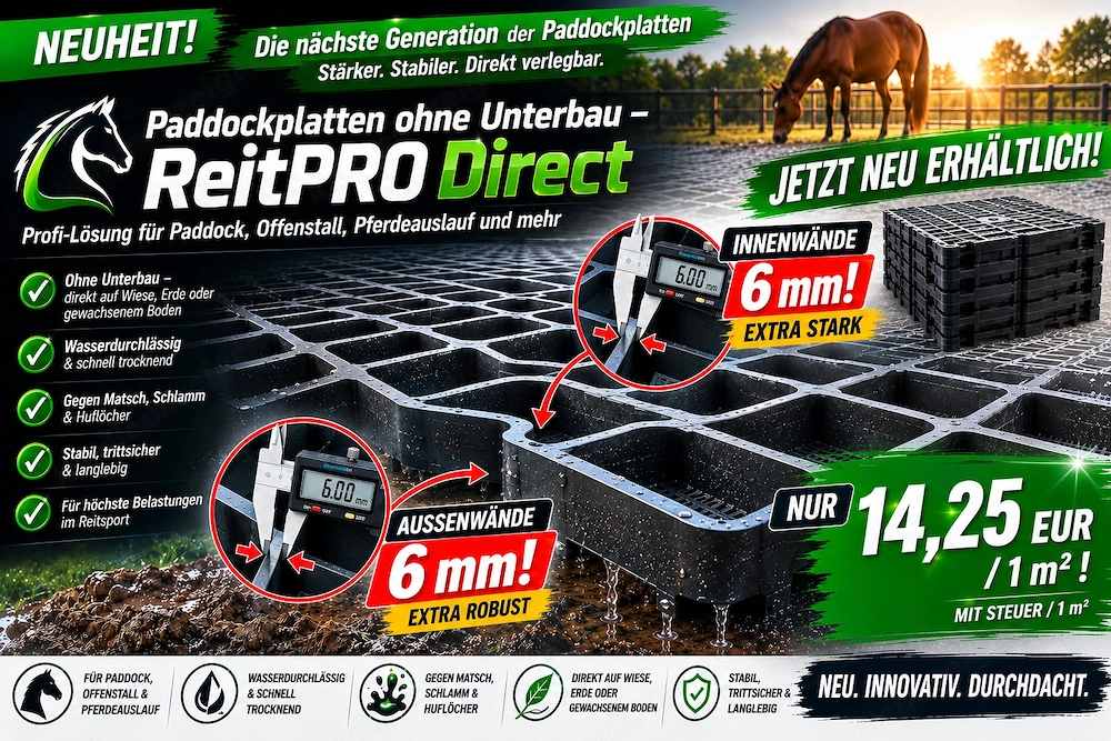 Paddockplatten & Rasengitter kaufen ReitPRO Direct 40 ohne Schotterunterbau | Bodenstabilisierung