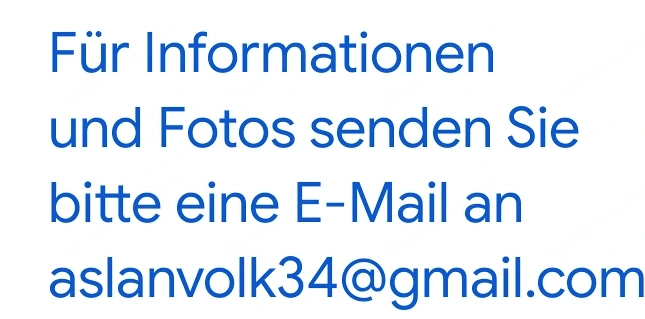 Wunderschöne Maltipoo-Welpen der F1-Generation suchen ein neues Zuhause.