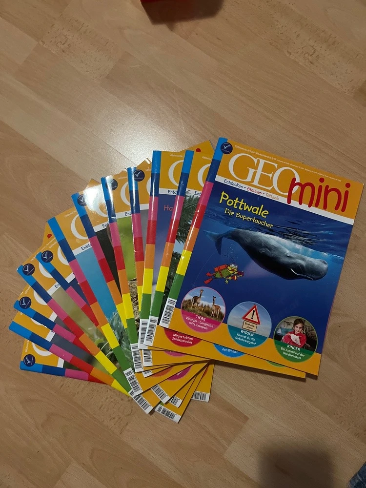 GEOmini Magazine
