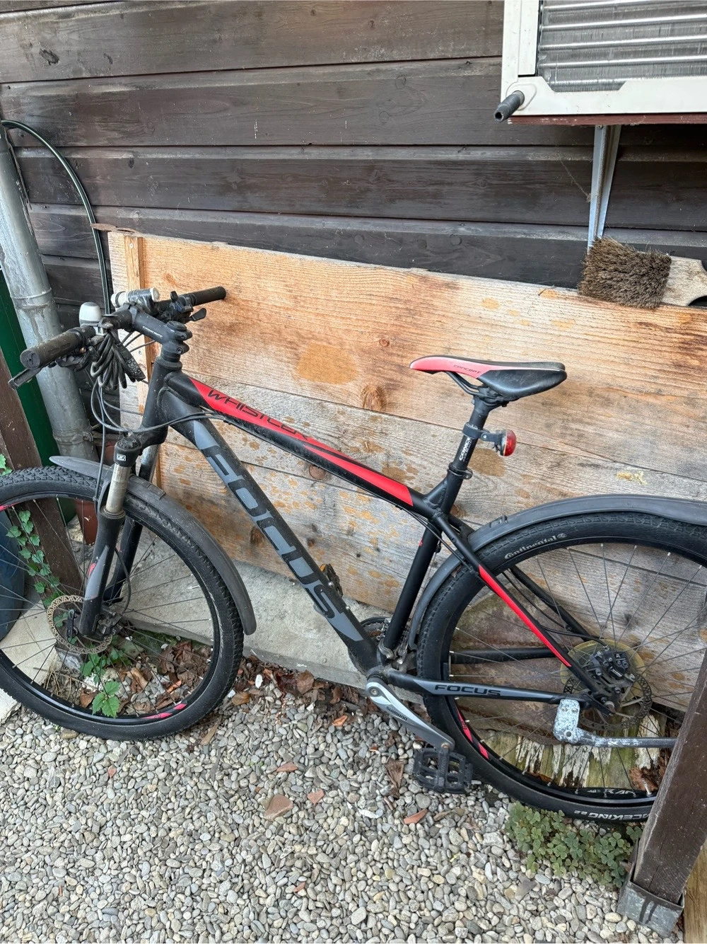 Focus Whistler Hardtail Mountainbike (29 Zoll)