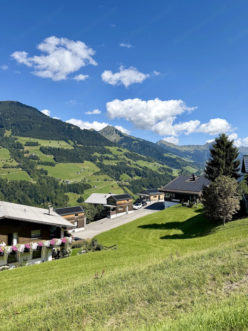 SUCHE: 2 Zimmerwohnung im Bezirk Feldkirch oder Umgebung!