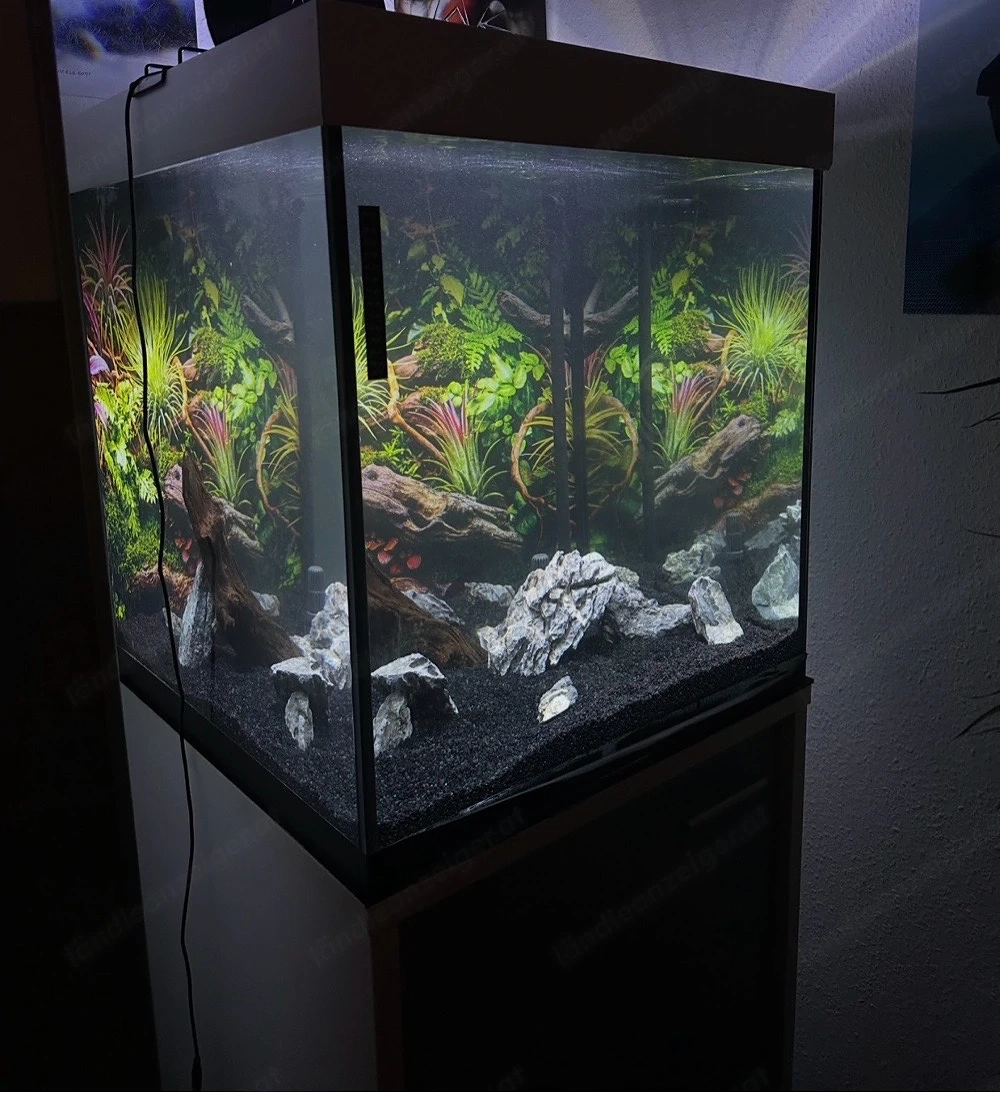 Einzelanfertigung: 300L Würfel-Aquarium inkl. Unterschrank