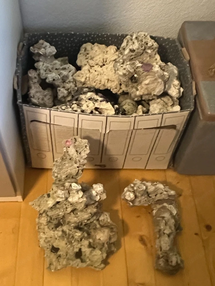 natürliches Riffgestein